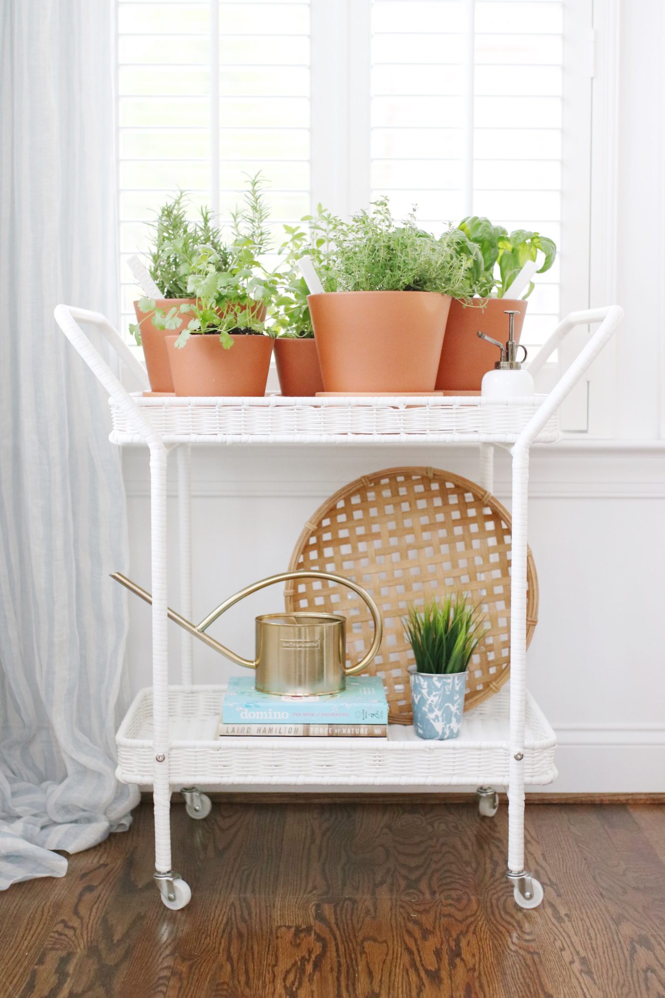 Indoor Herb Garden