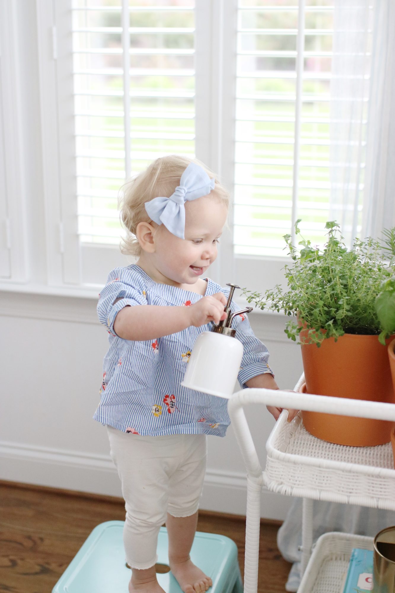 Indoor Herb Garden