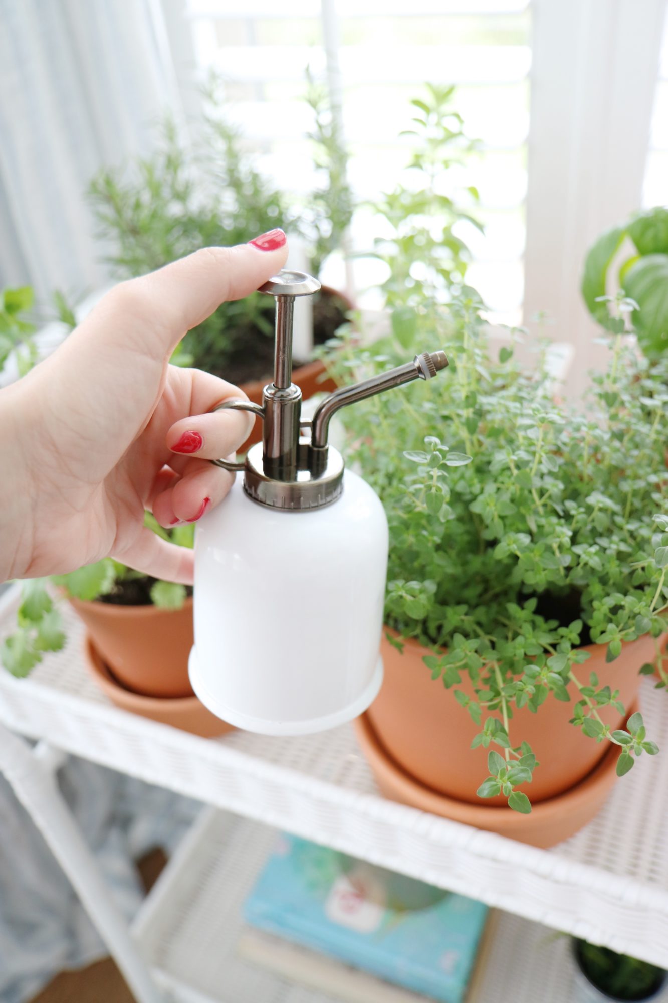 Indoor Herb Garden