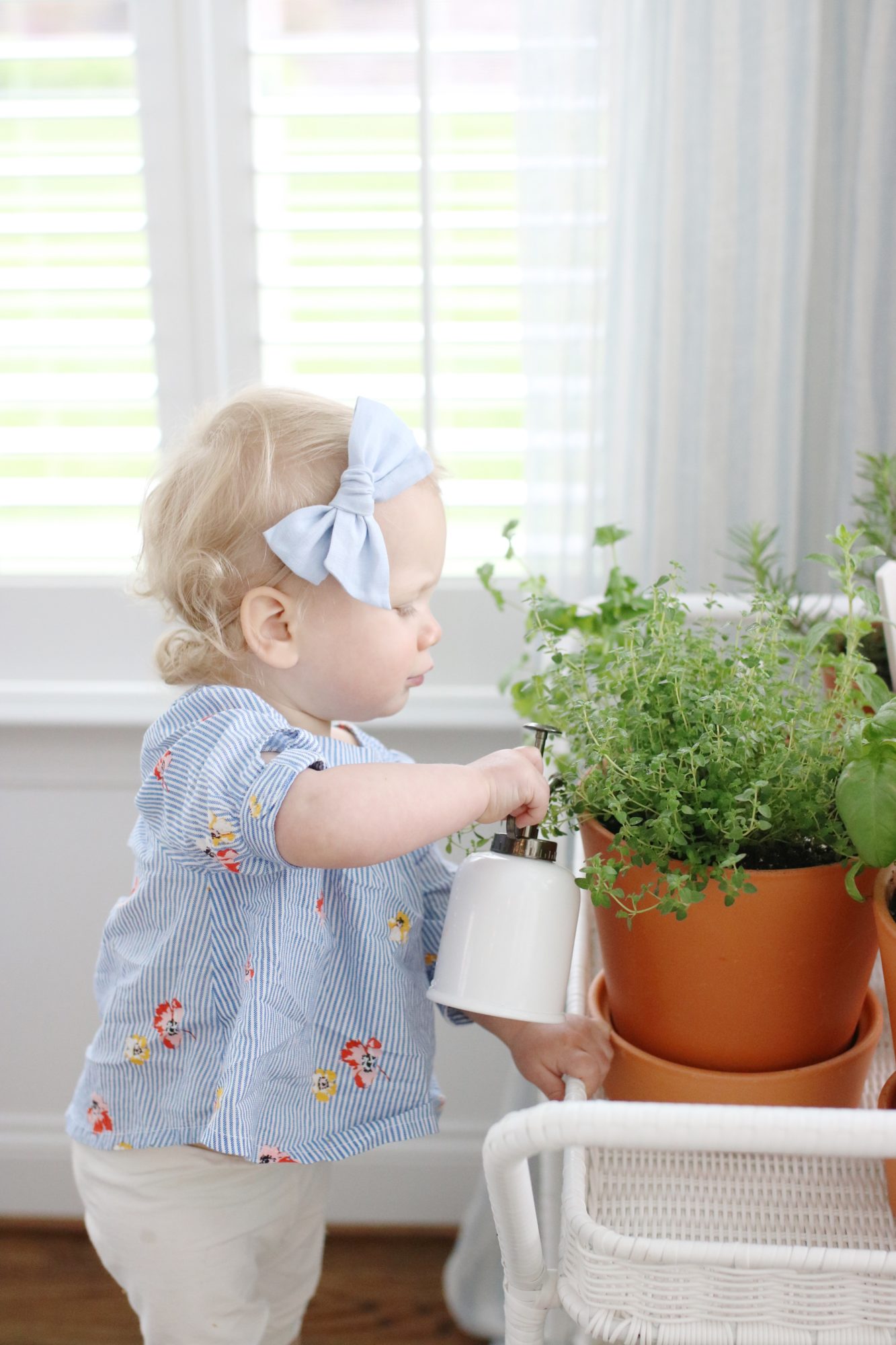 Indoor Herb Garden