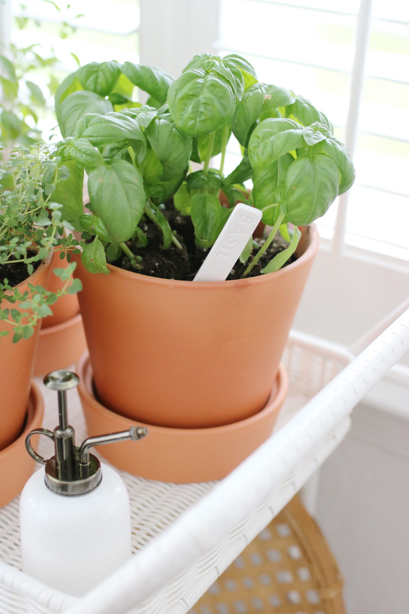 Indoor Herb Garden