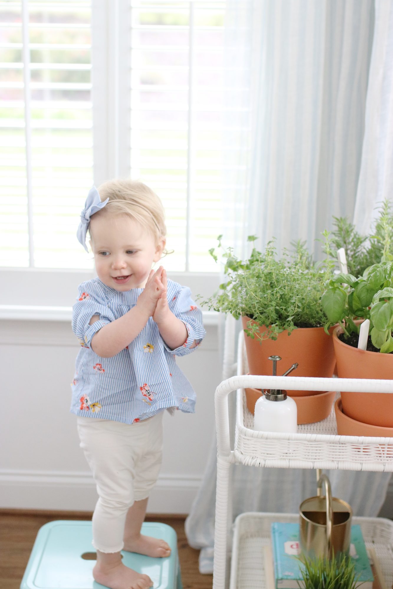 Indoor Herb Garden