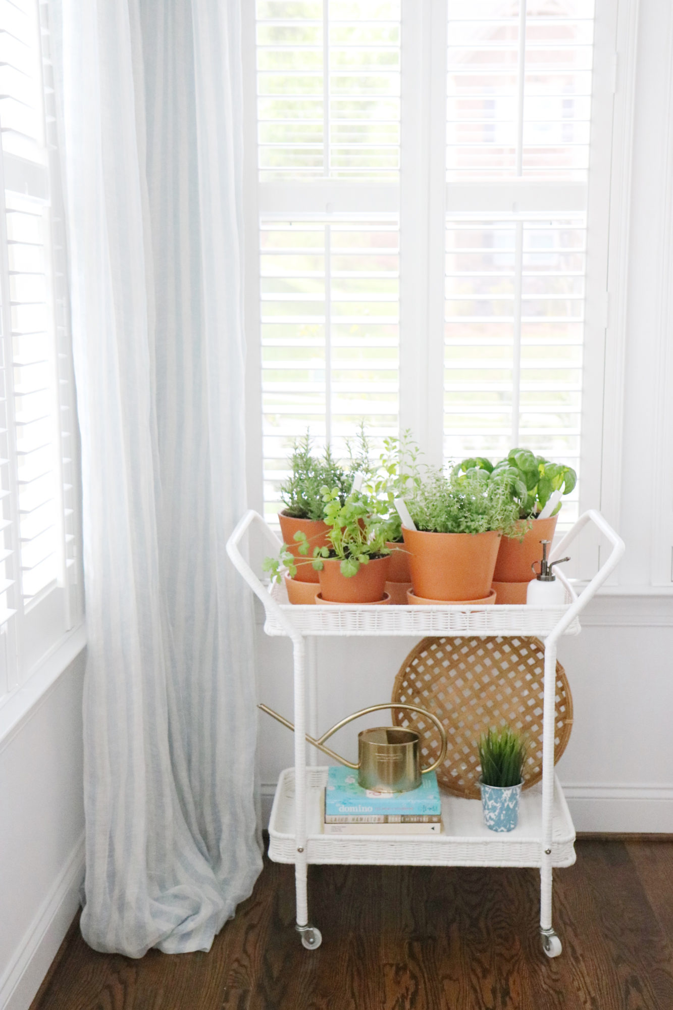 Indoor Herb Garden