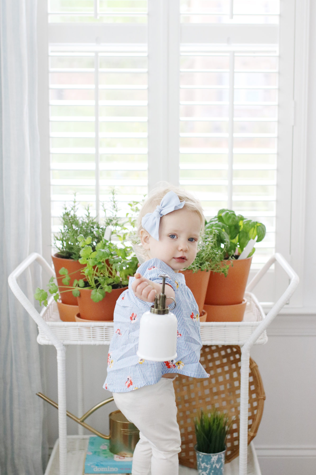 Indoor Herb Garden