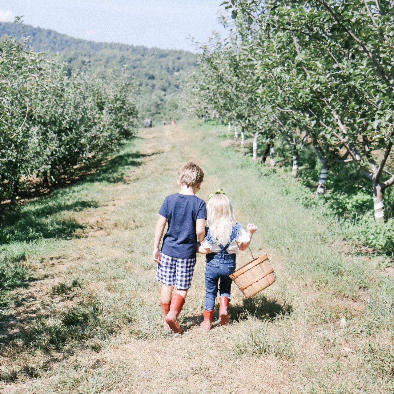 Apple Pickin’